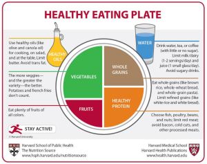 An image of Harvard's Healthy Eating Plate